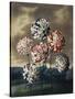 A Group of Carnations-null-Stretched Canvas