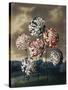 A Group of Carnations-null-Stretched Canvas