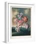 A Group of Carnations-null-Framed Giclee Print