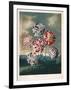 A Group of Carnations-null-Framed Giclee Print