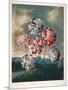 A Group of Carnations-null-Mounted Giclee Print