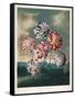 A Group of Carnations-null-Framed Stretched Canvas