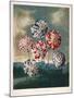 A Group of Carnations-null-Mounted Giclee Print