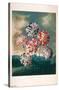 A Group Of Carnations-Trends International-Stretched Canvas