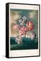A Group Of Carnations-Trends International-Framed Stretched Canvas