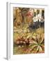 A Group of Carnivorous Plants, Illustration from 'Wonders of Land and Sea' by Graeme Williams-Theobald Carreras-Framed Giclee Print