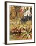 A Group of Carnivorous Plants, Illustration from 'Wonders of Land and Sea' by Graeme Williams-Theobald Carreras-Framed Giclee Print