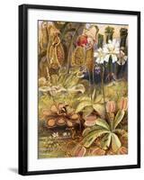 A Group of Carnivorous Plants, Illustration from 'Wonders of Land and Sea' by Graeme Williams-Theobald Carreras-Framed Giclee Print