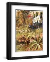 A Group of Carnivorous Plants, Illustration from 'Wonders of Land and Sea' by Graeme Williams-Theobald Carreras-Framed Premium Giclee Print