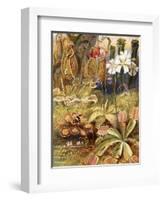 A Group of Carnivorous Plants, Illustration from 'Wonders of Land and Sea' by Graeme Williams-Theobald Carreras-Framed Premium Giclee Print