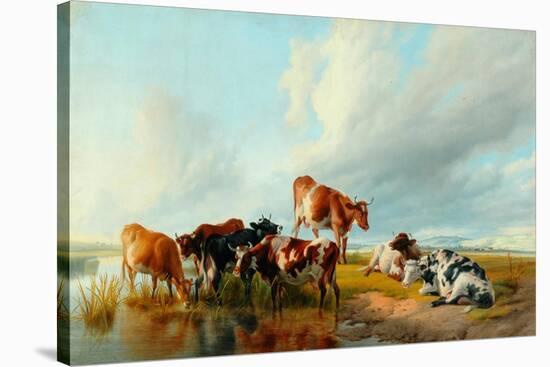 A Group of Cattle, 1877-Thomas Sidney Cooper-Stretched Canvas