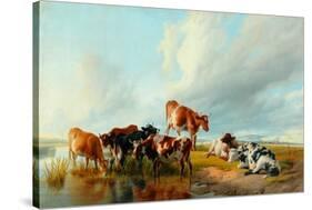 A Group of Cattle, 1877-Thomas Sidney Cooper-Stretched Canvas