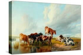 A Group of Cattle, 1877-Thomas Sidney Cooper-Stretched Canvas