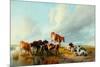 A Group of Cattle, 1877-Thomas Sidney Cooper-Mounted Giclee Print