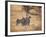 A Group of Cheetah on the Lookout for a Nearby Leopard in Namibia's Etosha National Park-Alex Saberi-Framed Photographic Print