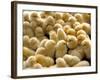 A Group Of Chick-Eky Studio-Framed Photographic Print