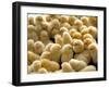 A Group Of Chick-Eky Studio-Framed Photographic Print