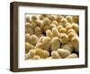 A Group Of Chick-Eky Studio-Framed Photographic Print