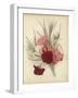 A Group of Clove Carnations-null-Framed Giclee Print