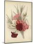 A Group of Clove Carnations-null-Mounted Giclee Print