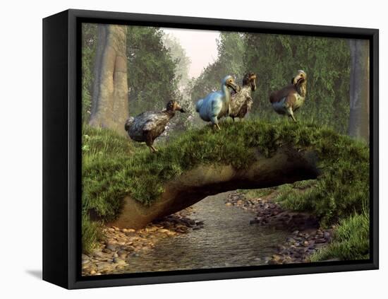 A Group of Dodo Birds Crossing a Natural Bridge Over a Stream-Stocktrek Images-Framed Stretched Canvas