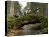 A Group of Dodo Birds Crossing a Natural Bridge Over a Stream-Stocktrek Images-Stretched Canvas
