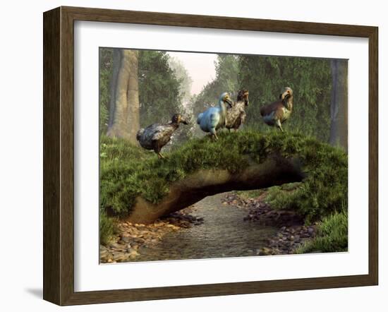 A Group of Dodo Birds Crossing a Natural Bridge Over a Stream-Stocktrek Images-Framed Photographic Print