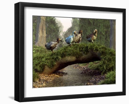 A Group of Dodo Birds Crossing a Natural Bridge Over a Stream-Stocktrek Images-Framed Photographic Print