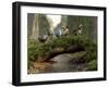 A Group of Dodo Birds Crossing a Natural Bridge Over a Stream-Stocktrek Images-Framed Photographic Print