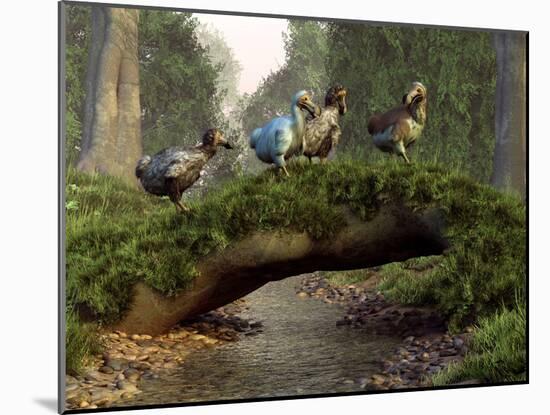 A Group of Dodo Birds Crossing a Natural Bridge Over a Stream-Stocktrek Images-Mounted Photographic Print