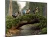 A Group of Dodo Birds Crossing a Natural Bridge Over a Stream-Stocktrek Images-Mounted Photographic Print