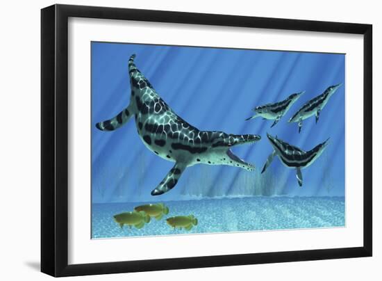 A Group of Dolichorhynchops Try to Escape from a Huge Kronosaurus-Stocktrek Images-Framed Art Print