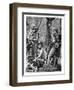 A Group of Dyaks, C1900-null-Framed Giclee Print