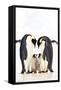 A Group Of Emperor Penguins-Trends International-Framed Stretched Canvas