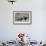 A Group of F-15E Strike Eagles at Uvda Air Force Base, Israel-null-Framed Photographic Print displayed on a wall