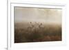 A Group Of Fallow Deer Stags, Dama Dama, Stand In Richmond Park At Dawn-Alex Saberi-Framed Photographic Print