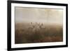 A Group Of Fallow Deer Stags, Dama Dama, Stand In Richmond Park At Dawn-Alex Saberi-Framed Photographic Print