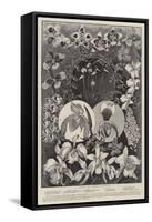 A Group of Famous Orchids-null-Framed Stretched Canvas