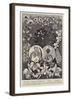 A Group of Famous Orchids-null-Framed Giclee Print