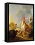 A Group of Farmyard Fowl, 1643-Gysbert Hondecoeter-Framed Stretched Canvas