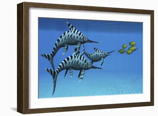 A Group of Fast Swimming Eurhinosaurus Marine Reptiles-null-Framed Art Print