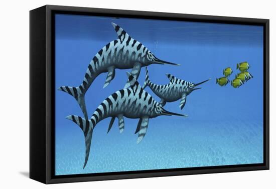 A Group of Fast Swimming Eurhinosaurus Marine Reptiles-null-Framed Stretched Canvas