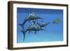 A Group of Fast Swimming Eurhinosaurus Marine Reptiles-null-Framed Premium Giclee Print