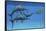 A Group of Fast Swimming Eurhinosaurus Marine Reptiles-null-Framed Stretched Canvas