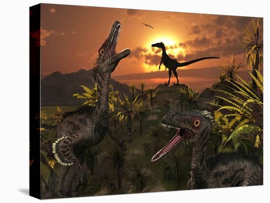 A Group of Feathered Carnivorous Velociraptors from the Cretaceous Period on Earth-Stocktrek Images-Stretched Canvas