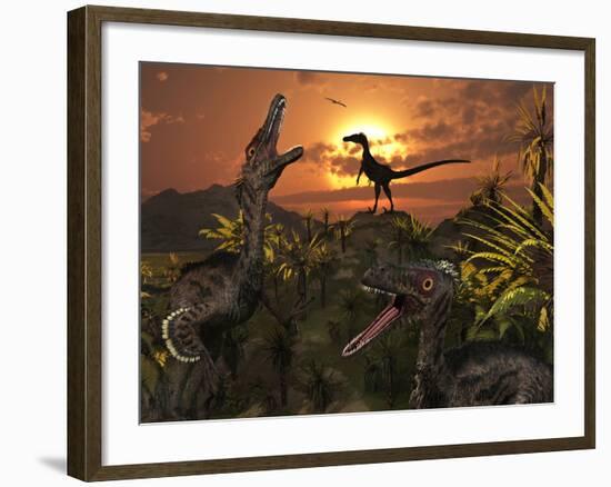 A Group of Feathered Carnivorous Velociraptors from the Cretaceous Period on Earth-Stocktrek Images-Framed Photographic Print