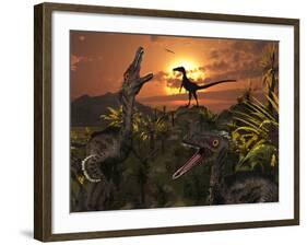 A Group of Feathered Carnivorous Velociraptors from the Cretaceous Period on Earth-Stocktrek Images-Framed Photographic Print