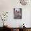 A Group of Four Women Market Traders in Boats Laden with Fruit and Flowers, Thailand-Gavin Hellier-Mounted Photographic Print displayed on a wall