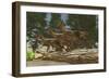 A Group of Herbivorous Hypsilophodon Dinosaurs-null-Framed Premium Giclee Print