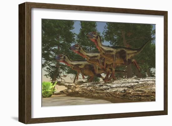 A Group of Herbivorous Hypsilophodon Dinosaurs-null-Framed Art Print